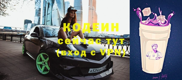 apvp Кодинск